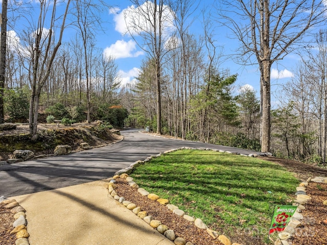 209 Walnut Ridge Rd, Brevard, NC 28712 - view of road with a wooded view