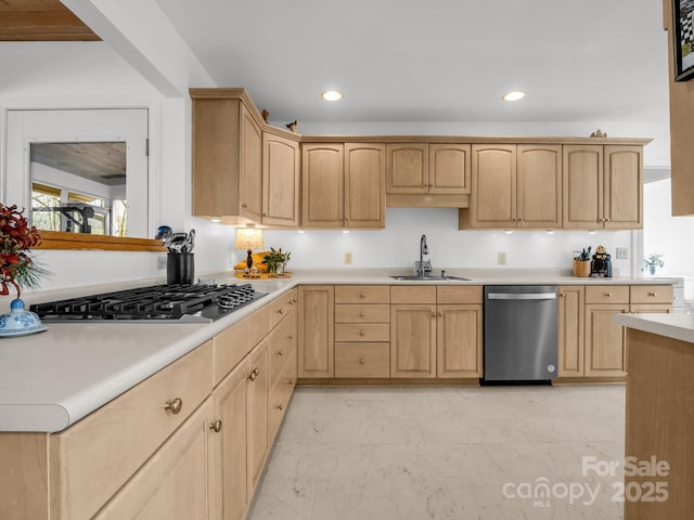 209 Walnut Ridge Rd, Brevard, NC 28712 - kitchen with a sink, light brown cabinetry, and appliances with stainless steel finishes