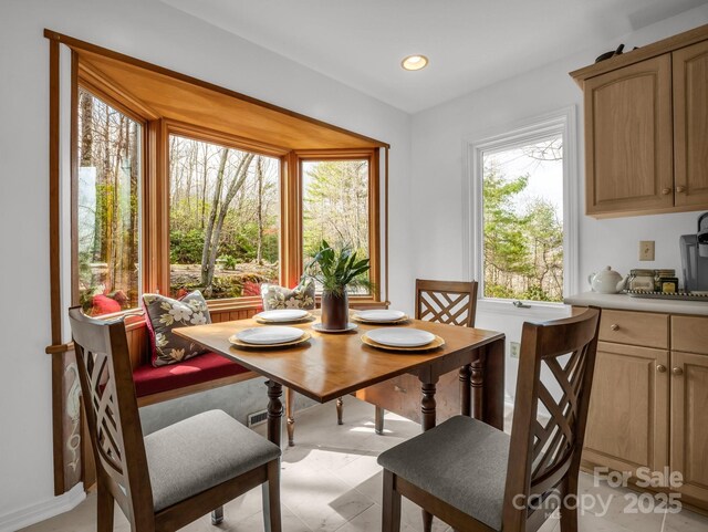 209 Walnut Ridge Rd, Brevard, NC 28712 - dining space featuring recessed lighting