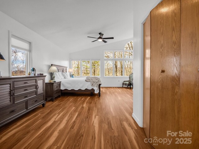 209 Walnut Ridge Rd, Brevard, NC 28712 - bedroom with wood finished floors, baseboards, multiple windows, and lofted ceiling