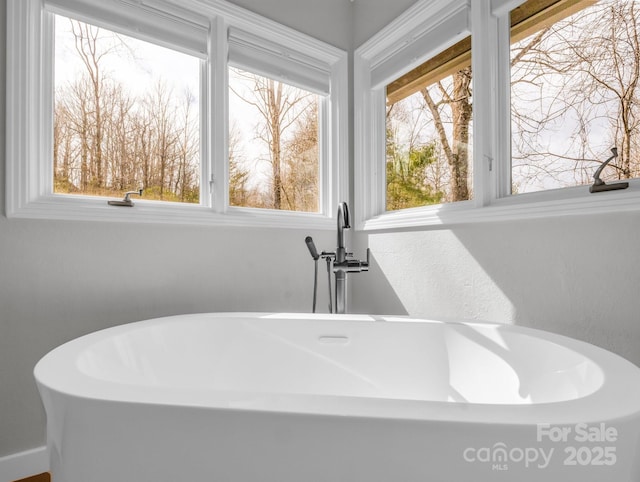 209 Walnut Ridge Rd, Brevard, NC 28712 - interior details featuring a freestanding tub and a sink