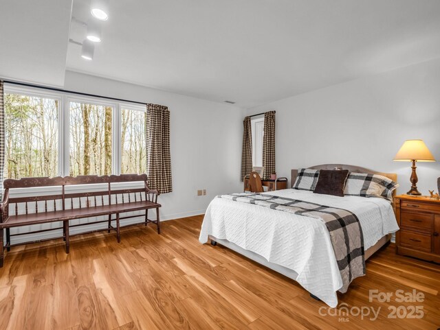 209 Walnut Ridge Rd, Brevard, NC 28712 - bedroom featuring a baseboard heating unit, light wood-style floors, and baseboards