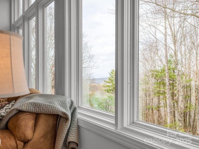 209 Walnut Ridge Rd, Brevard, NC 28712 - view of room details