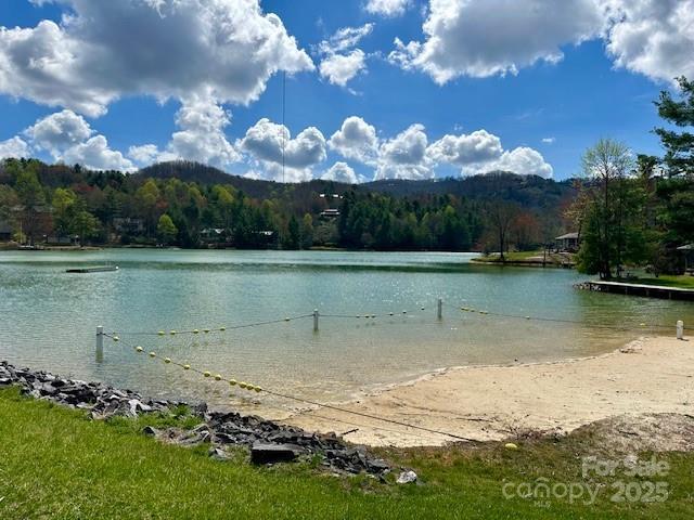 209 Walnut Ridge Rd, Brevard, NC 28712 - water view with a view of trees