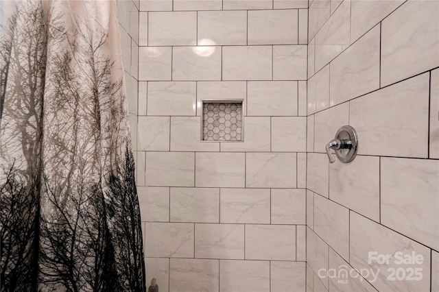 interior details featuring a tile shower