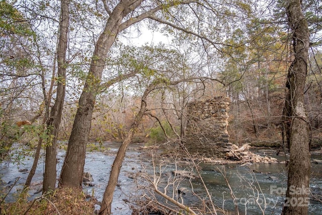 view of nature featuring a forest view