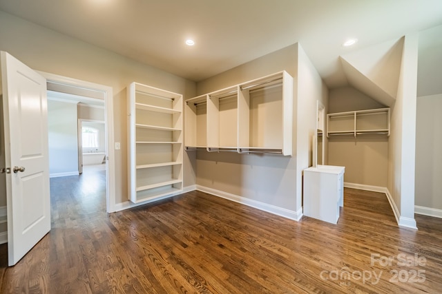 walk in closet with dark wood finished floors