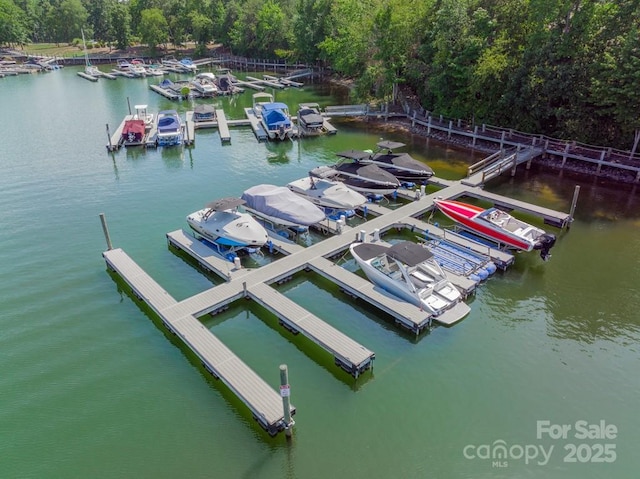 view of dock with a water view