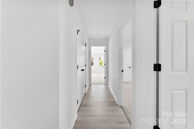 hall with baseboards, a barn door, and light wood-style floors