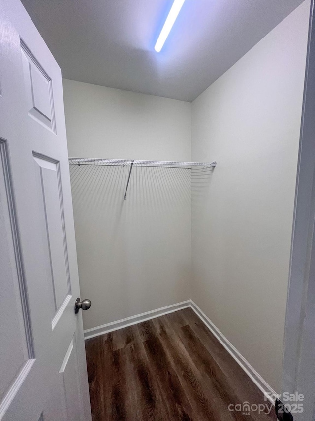 spacious closet with dark wood-style flooring