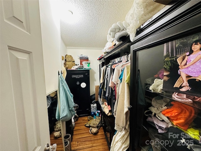 walk in closet featuring wood finished floors