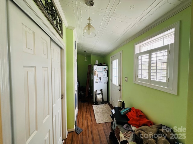 entryway with dark wood-style floors, water heater, and ornamental molding