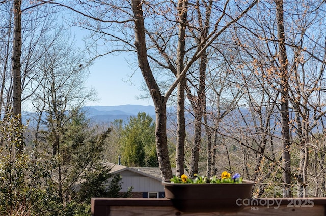 view of mountain feature with a view of trees