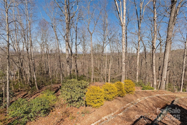 view of yard with a view of trees