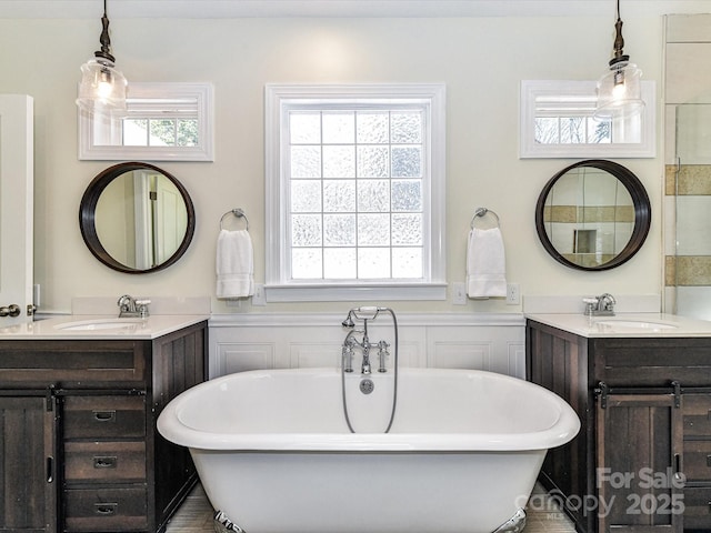 full bathroom with plenty of natural light, a freestanding tub, and a sink