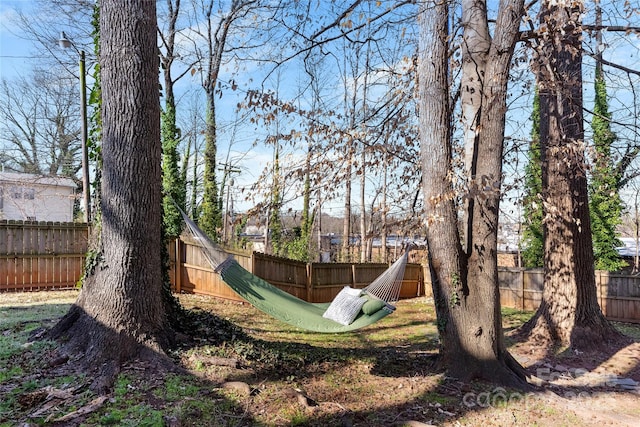 view of yard featuring a fenced backyard