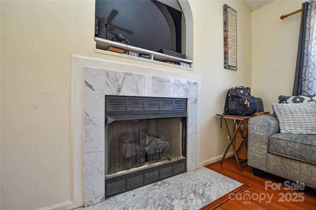 room details with wood finished floors, baseboards, and a premium fireplace