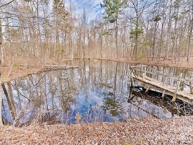 view of dock