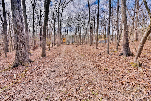 view of road featuring dirt driveway