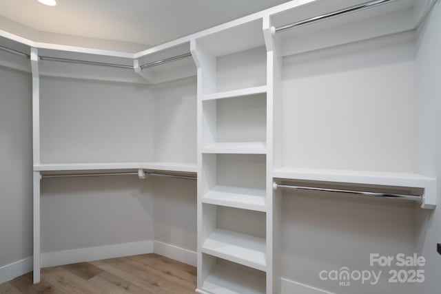 walk in closet with wood finished floors