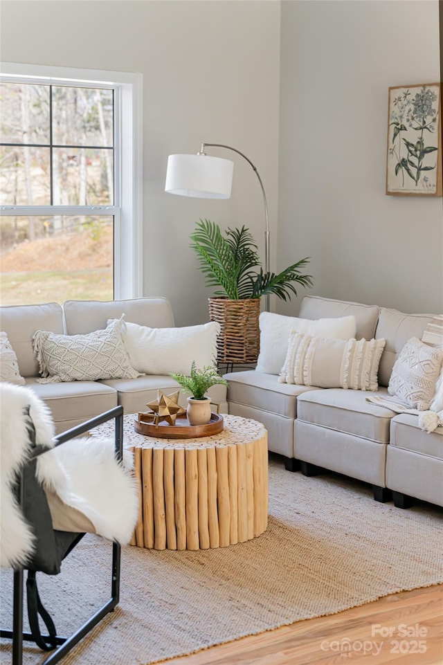 living room with wood finished floors