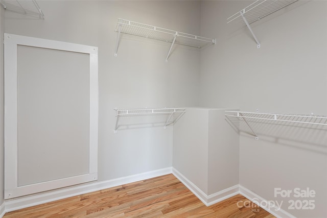 spacious closet featuring light wood finished floors