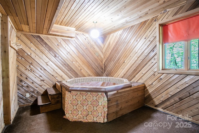 162 Southerland Rd, Pisgah Forest, NC 28768 - misc room with a relaxing sauna, carpet floors, wood walls, and wooden ceiling