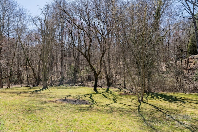 view of yard featuring a forest view