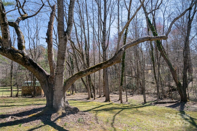 view of yard with a forest view