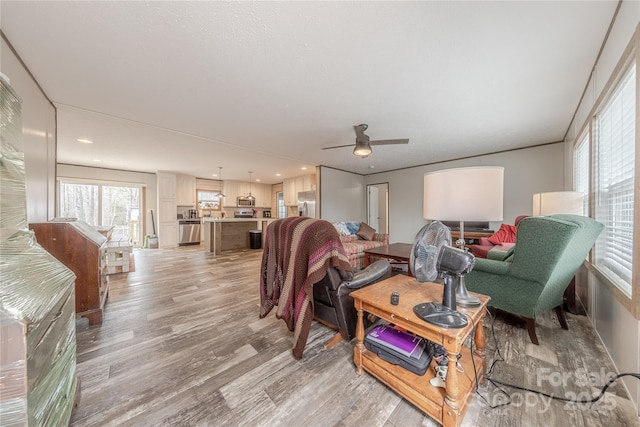 living room with ceiling fan and light wood-style flooring