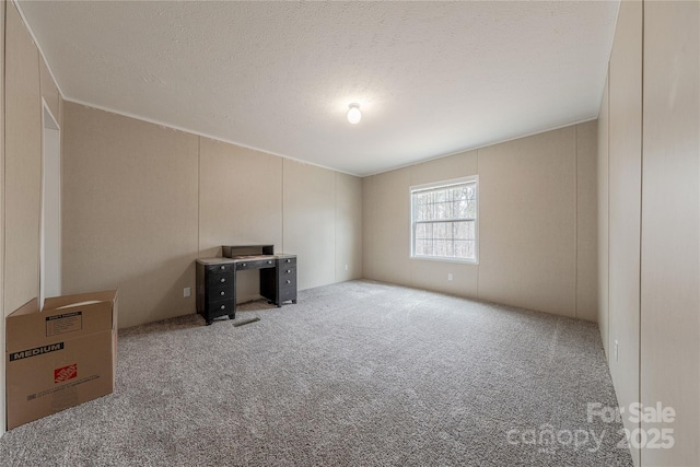 interior space with light colored carpet and a textured ceiling