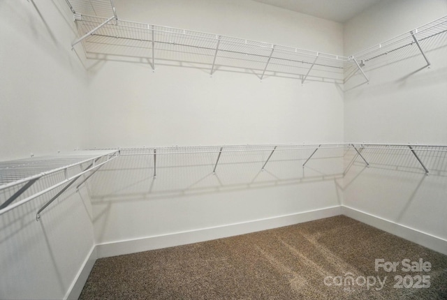 walk in closet with dark carpet