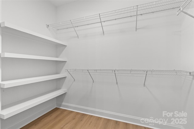 spacious closet with wood finished floors