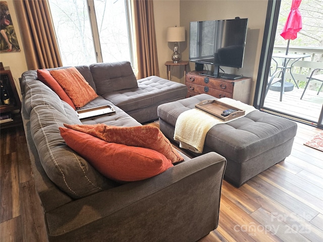 living area featuring plenty of natural light and wood finished floors