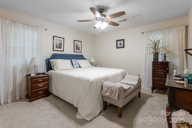 433 Old Leicester Hwy, Asheville, NC 28806 - photo 28