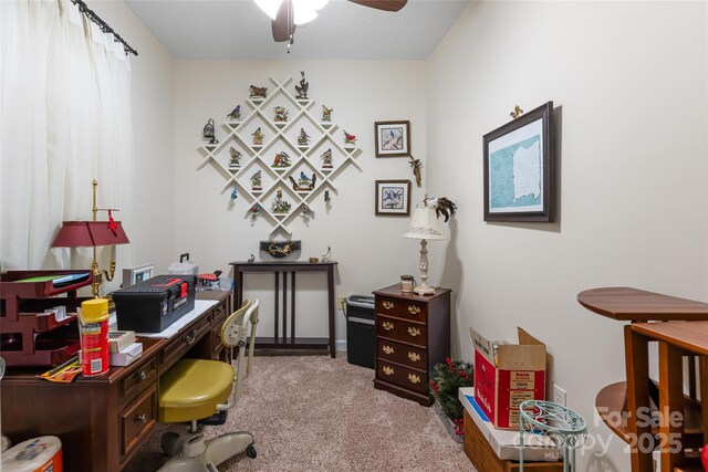 433 Old Leicester Hwy, Asheville, NC 28806 - photo 35