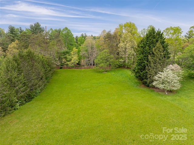 433 Old Leicester Hwy, Asheville, NC 28806 - photo 44