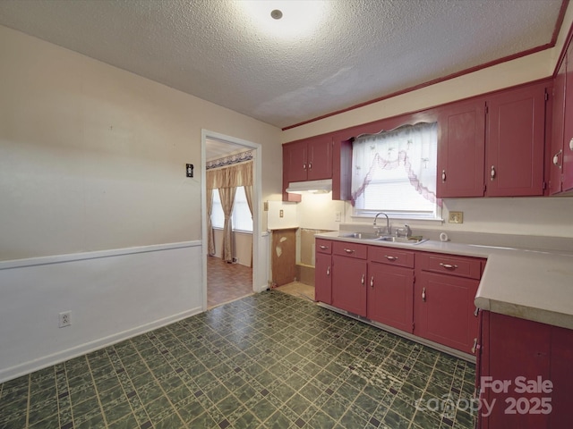 kitchen featuring dark floors, red cabinetry, and a sink