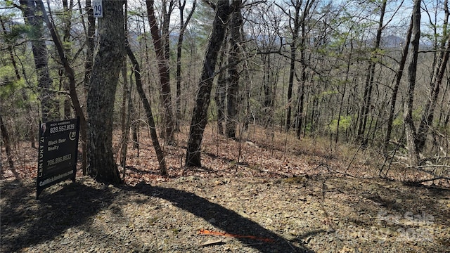 Listing photo 2 for LOT29 Mission Ridge Dr, Hayesville NC 28904