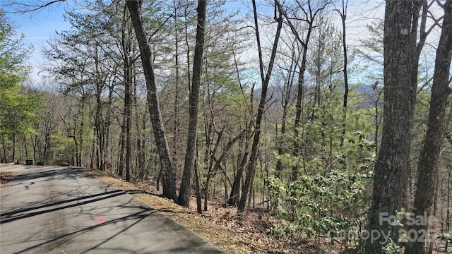 Listing photo 3 for LOT29 Mission Ridge Dr, Hayesville NC 28904