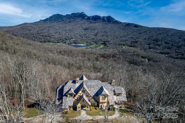 birds eye view of property featuring a mountain view