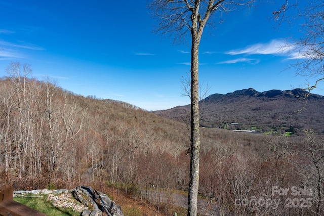 view of mountain feature featuring a wooded view