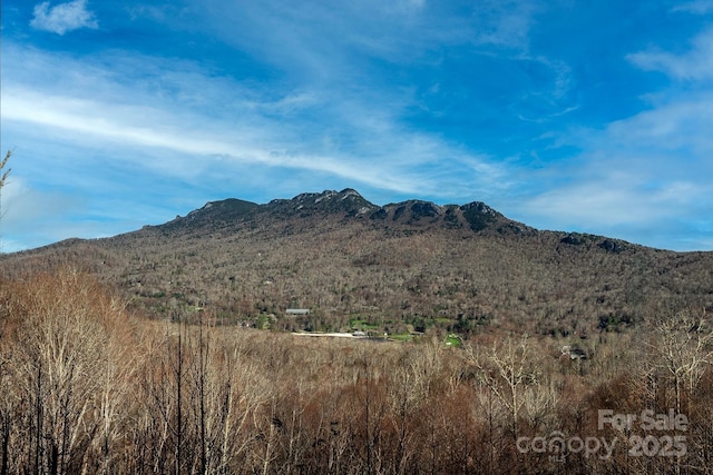 property view of mountains