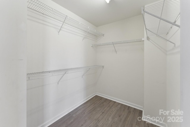 walk in closet with dark wood-style floors