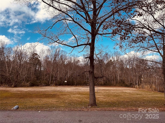 view of yard featuring a forest view