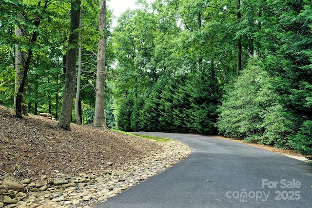 275 Sleepy Gap Rd Lot 13, Arden, NC 28704 - photo 43