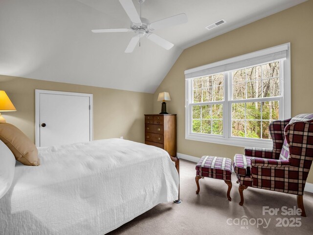 275 Sleepy Gap Rd Lot 13, Arden, NC 28704 - photo 30
