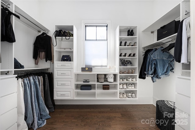 walk in closet with dark wood-style flooring