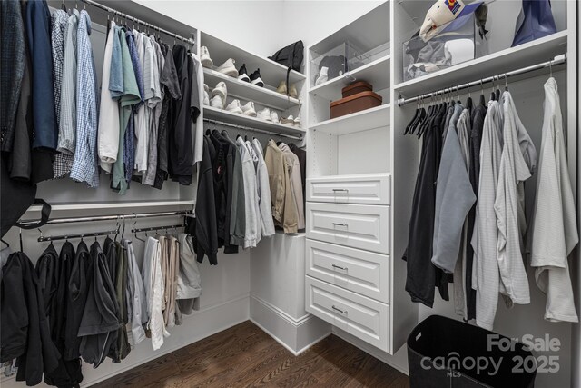 walk in closet with dark wood finished floors