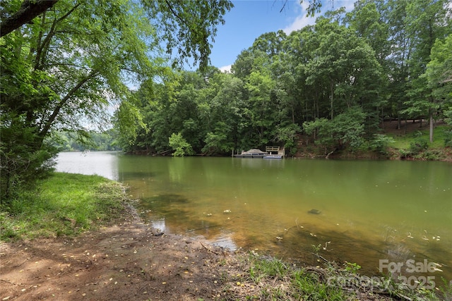 12726 Rusty Blackbird Way, Charlotte, NC 28278 - photo 37